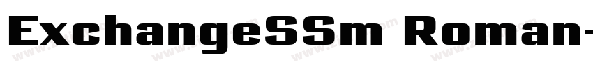 ExchangeSSm Roman字体转换 ExchangeSSm Roman字体转换